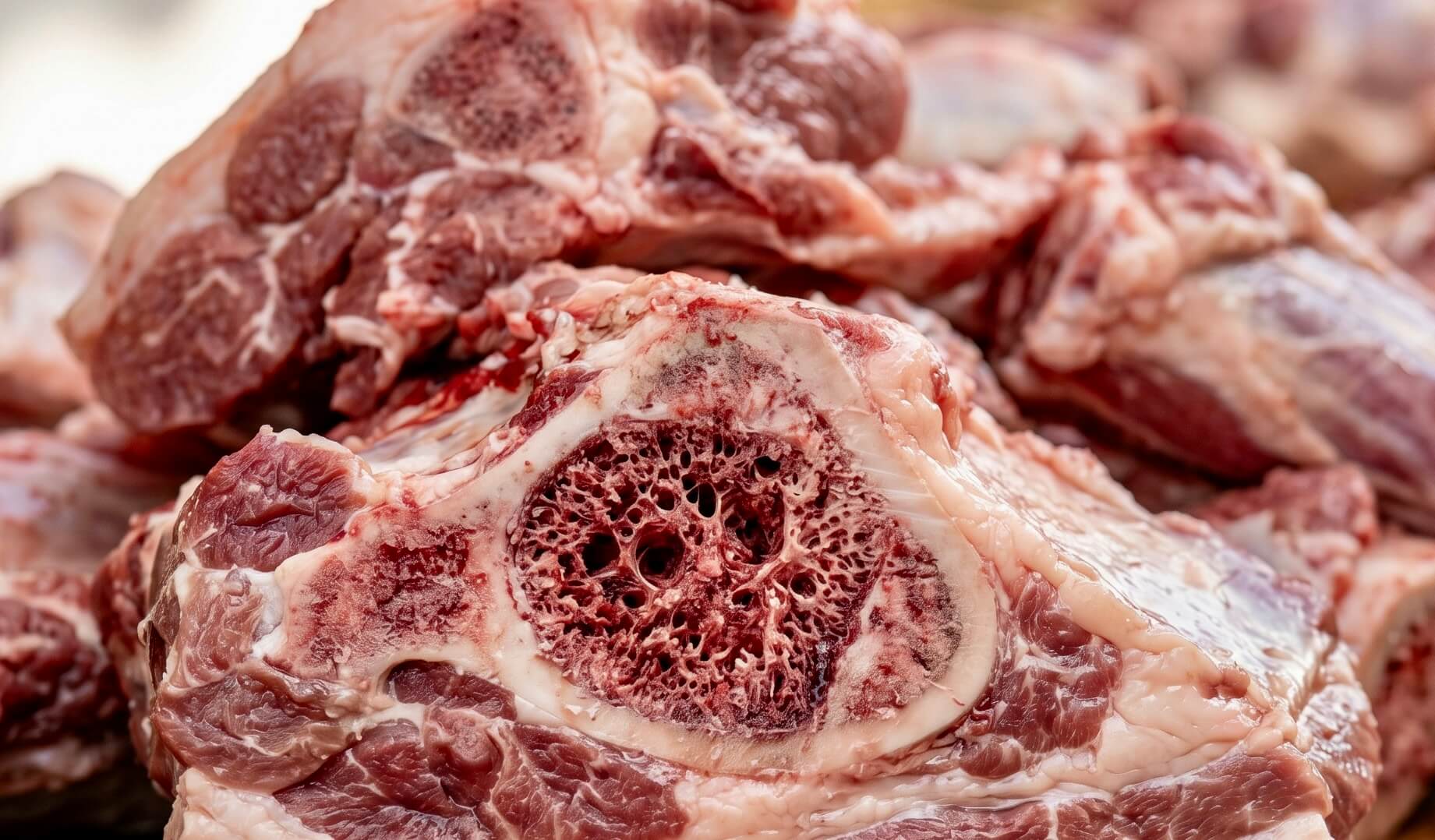 Nahaufnahme von frischem Fleisch mit einem angeschnittenen Markknochen und dem eingeblendeten Text 'Hydrolysiertes Kollagen'. Das Bild visualisiert die Quelle für diesen wichtigen Baustein zur Gelenkunterstützung in der Riddys Premium-Nahrungsergänzung für Hund und Katze.