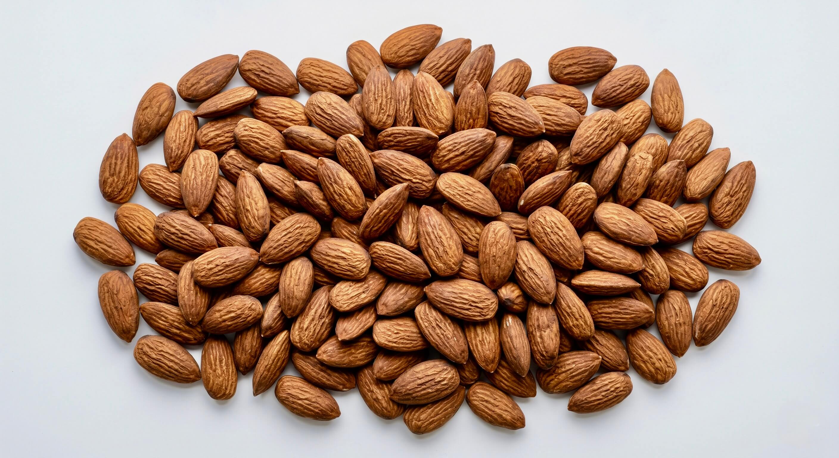Nahaufnahme von vielen ungeschälten Mandeln auf einem hellen Hintergrund mit dem eingeblendeten Text 'Vitamin B2'. Das Bild visualisiert eine natürliche, pflanzliche Quelle für dieses Vitamin in der Riddys Premium-Nahrungsergänzung für Hund und Katze.