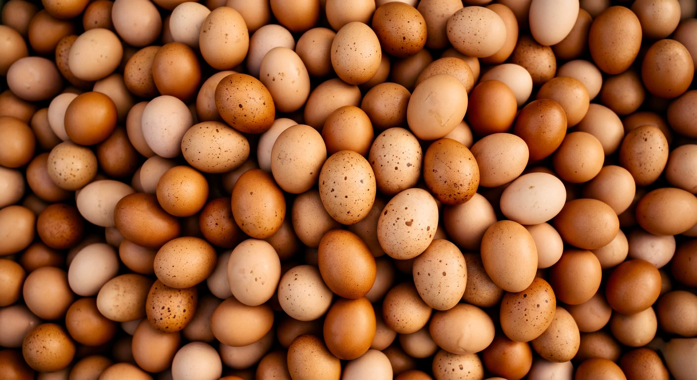 Nahaufnahme einer Vielzahl brauner, teils gesprenkelter Eier mit dem eingeblendeten Text 'Vitamin B7'. Das Bild visualisiert eine natürliche Quelle für Biotin in der Riddys Premium-Nahrungsergänzung für Hund und Katze.
