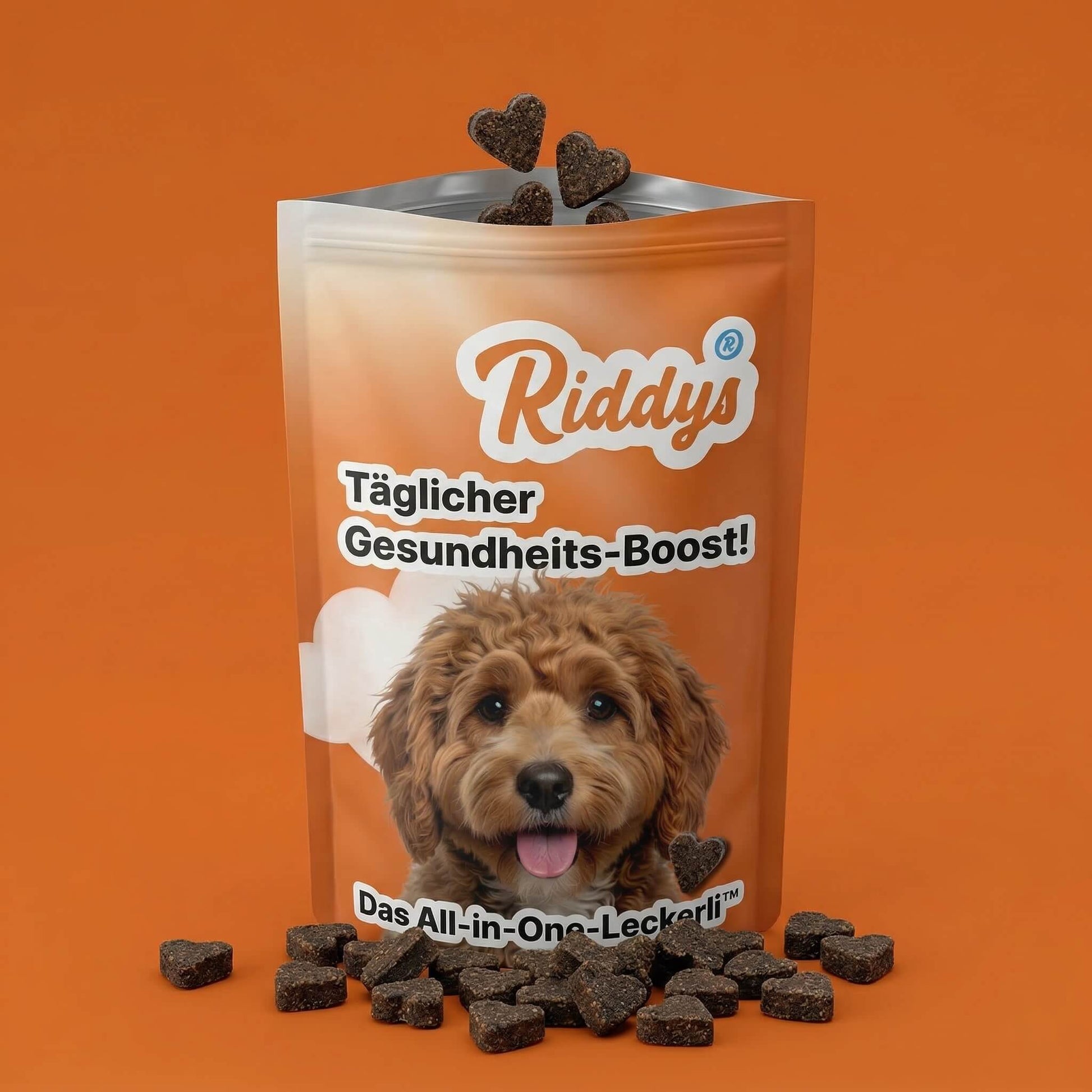 Vorderansicht der offenen Riddys Produktverpackung für das 'All-in-One-Leckerli'. Die orangefarbene Tüte zeigt das Markenlogo, den Text 'Täglicher Gesundheits-Boost!' und das Bild eines niedlichen, braun gelockten Hundes neben einem herzförmigen Multivitamin-Leckerli.