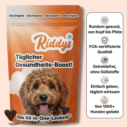 Produktgrafik für Riddys Hunde-Ergänzungsfuttermittel mit dem Premium Multivitamin-Leckerli sowie dem Schriftzug„Täglicher Gesundheits-Boost!“ in einer orangefarbenen Packung mit einem wuscheligen Hund, herzförmigen Leckerlis und den wichtigsten Produktvorteilen wie getreidefrei und FCA-zertifiziert.
