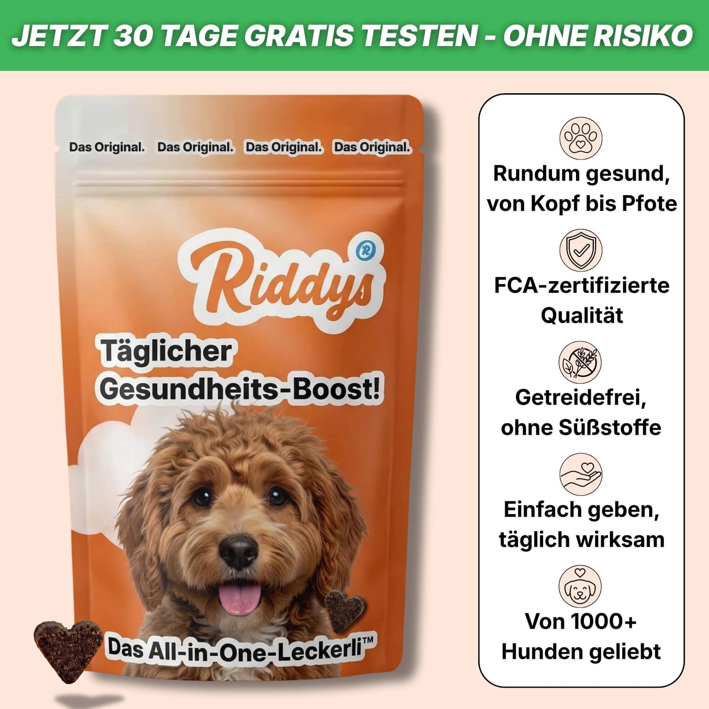 Produktgrafik für Riddys Hunde-Ergänzungsfuttermittel mit dem Premium Multivitamin-Leckerli sowie dem Schriftzug„Täglicher Gesundheits-Boost!“ in einer orangefarbenen Packung mit einem wuscheligen Hund, herzförmigen Leckerlis und den wichtigsten Produktvorteilen wie getreidefrei und FCA-zertifiziert.