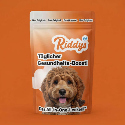 Vorderansicht der Riddys Produktverpackung für das 'All-in-One-Leckerli'. Die orangefarbene Tüte zeigt das Markenlogo, den Text 'Täglicher Gesundheits-Boost!' und das Bild eines niedlichen, braun gelockten Hundes neben einem herzförmigen Leckerli.
