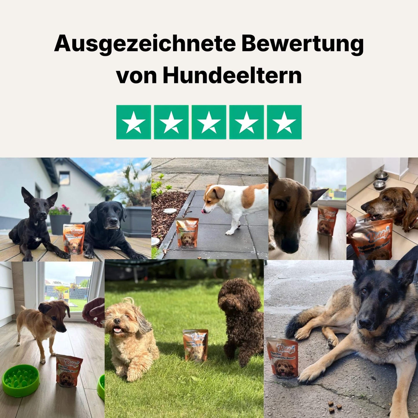 Dieses Bild zeigt die Überschrift "Ausgezeichnete Bewertung von Hundeeltern" und ein grünes 5-Sterne-Rating-Icon. Darunter befindet sich eine Collage aus Fotos, die verschiedene echte Hunde beim Fressen der Leckerlis von Riddys, neben der Produktverpackung oder beim Training zeigen.