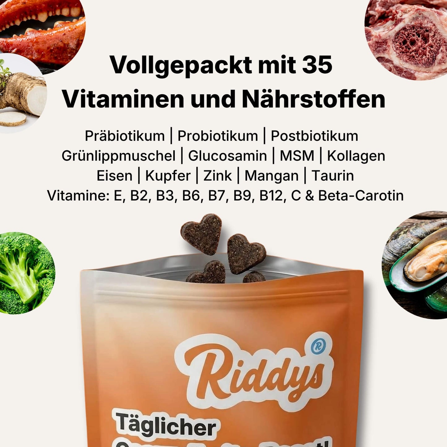 Dieses Bild hebt hervor, dass das Produkt von Riddys vollgepackt mit 35 Vitaminen und Nährstoffen ist. Es listet Inhaltsstoffe wie Präbiotika, Probiotika, Postbiotika, Grünlippmuschel, Glucosamin, MSM, Kollagen, Eisen, Kupfer, Zink, Mangan, Taurin sowie diverse Vitamine (E, B2, B3, B6, B7, B9, B12, C & Beta-Carotin) auf. In den Ecken sind Bilder von Zutaten wie Brokkoli, Grünlippmuschel, Knochenmark und Krebsscheren zu sehen. Darunter ist eine offene Packung mit herzförmigen Leckerlis von Riddys abgebildet.