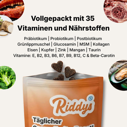 Dieses Bild hebt hervor, dass das Produkt von Riddys vollgepackt mit 35 Vitaminen und Nährstoffen ist. Es listet Inhaltsstoffe wie Präbiotika, Probiotika, Postbiotika, Grünlippmuschel, Glucosamin, MSM, Kollagen, Eisen, Kupfer, Zink, Mangan, Taurin sowie diverse Vitamine (E, B2, B3, B6, B7, B9, B12, C & Beta-Carotin) auf. In den Ecken sind Bilder von Zutaten wie Brokkoli, Grünlippmuschel, Knochenmark und Krebsscheren zu sehen. Darunter ist eine offene Packung mit herzförmigen Leckerlis von Riddys abgebildet.