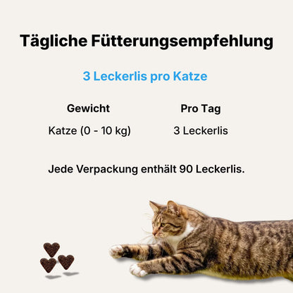 Dieses Bild zeigt die tägliche Fütterungsempfehlung des Multivitamin-Leckerlis für Katzen von Riddys. Die Grundregel lautet: 3 Leckerlis Katze. Eine Tabelle listet die Dosierung auf: Katze (0-10 kg) erhält 3 Leckerlis pro Tag. Unten steht der Hinweis, dass jede Verpackung 90 Leckerlis enthält. Ein herzförmiges Leckerli ist ebenfalls abgebildet.