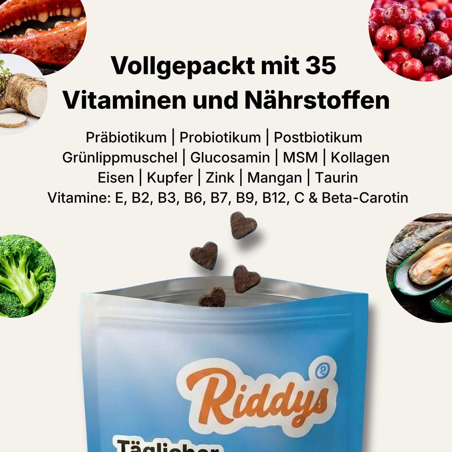 Dieses Bild hebt hervor, dass das Produkt von Riddys vollgepackt mit 35 Vitaminen und Nährstoffen ist. Es listet Inhaltsstoffe wie Präbiotika, Probiotika, Postbiotika, Grünlippmuschel, Glucosamin, MSM, Kollagen, Eisen, Kupfer, Zink, Mangan, Taurin sowie diverse Vitamine (E, B2, B3, B6, B7, B9, B12, C & Beta-Carotin) auf. In den Ecken sind Bilder von Zutaten wie Brokkoli, Grünlippmuschel, Cranberrys und Krebsscheren zu sehen. Darunter ist eine offene Packung mit herzförmigen Leckerlis von Riddys abgebildet.