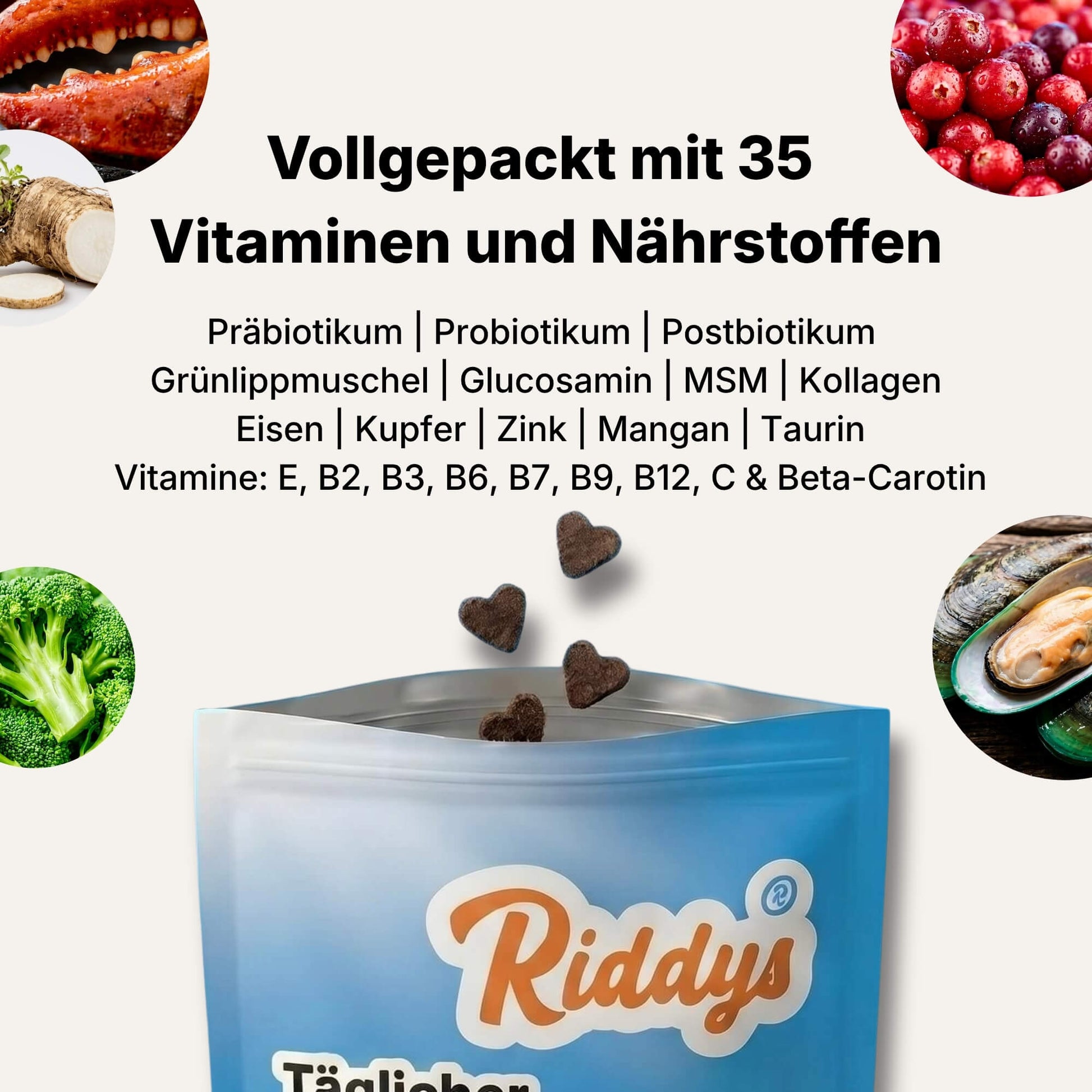 Dieses Bild hebt hervor, dass das Produkt von Riddys vollgepackt mit 35 Vitaminen und Nährstoffen ist. Es listet Inhaltsstoffe wie Präbiotika, Probiotika, Postbiotika, Grünlippmuschel, Glucosamin, MSM, Kollagen, Eisen, Kupfer, Zink, Mangan, Taurin sowie diverse Vitamine (E, B2, B3, B6, B7, B9, B12, C & Beta-Carotin) auf. In den Ecken sind Bilder von Zutaten wie Brokkoli, Grünlippmuschel, Cranberrys und Krebsscheren zu sehen. Darunter ist eine offene Packung mit herzförmigen Leckerlis von Riddys abgebildet.
